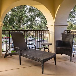 One-Bedroom King Suite